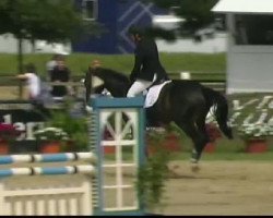 jumper Caspar (Hanoverian, 2006, from Contendro I)