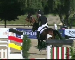 jumper Clementine 29 (Hanoverian, 2007, from Contendro I)