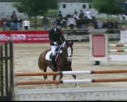 Springpferd Odin (Deutsches Reitpony, 2002, von Out-Break)