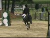 Springpferd Fina Ballerina P (Deutsches Reitpony, 2001, von Seven Mountain Natan)