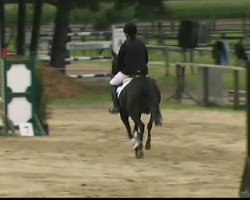 Springpferd Fina Ballerina P (Deutsches Reitpony, 2001, von Seven Mountain Natan)