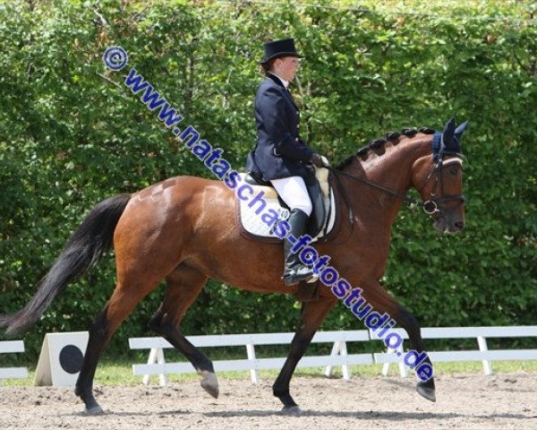 broodmare Azula West (Trakehner, 2005, from Ulexis)