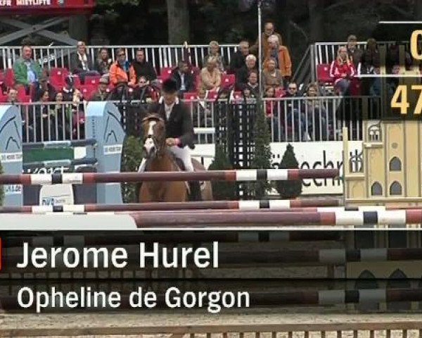 Pferd Opheline de Gorgon (Selle Français, 2002, von Espoir Breceen)
