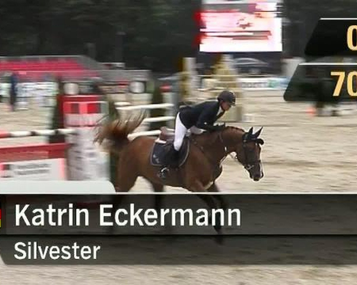 jumper Silvester 110 (Oldenburg, 1998, from Silvio I)