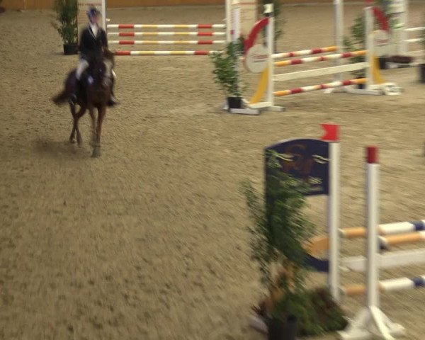 4. Ponyspringturnier Xanten - Reitanlage Miß 2022