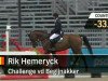 jumper H&M Challenge vd Begijnakker Z (Zangersheide riding horse, 2002, from Chellano Z)