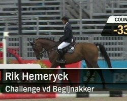 Springpferd H&M Challenge vd Begijnakker Z (Zangersheide Reitpferd, 2002, von Chellano Z)