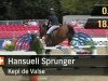 Springpferd Kepi de Valse (Selle Français, 1998, von Duc de la Cour II)