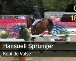 jumper Kepi de Valse (Selle Français, 1998, from Duc de la Cour II)