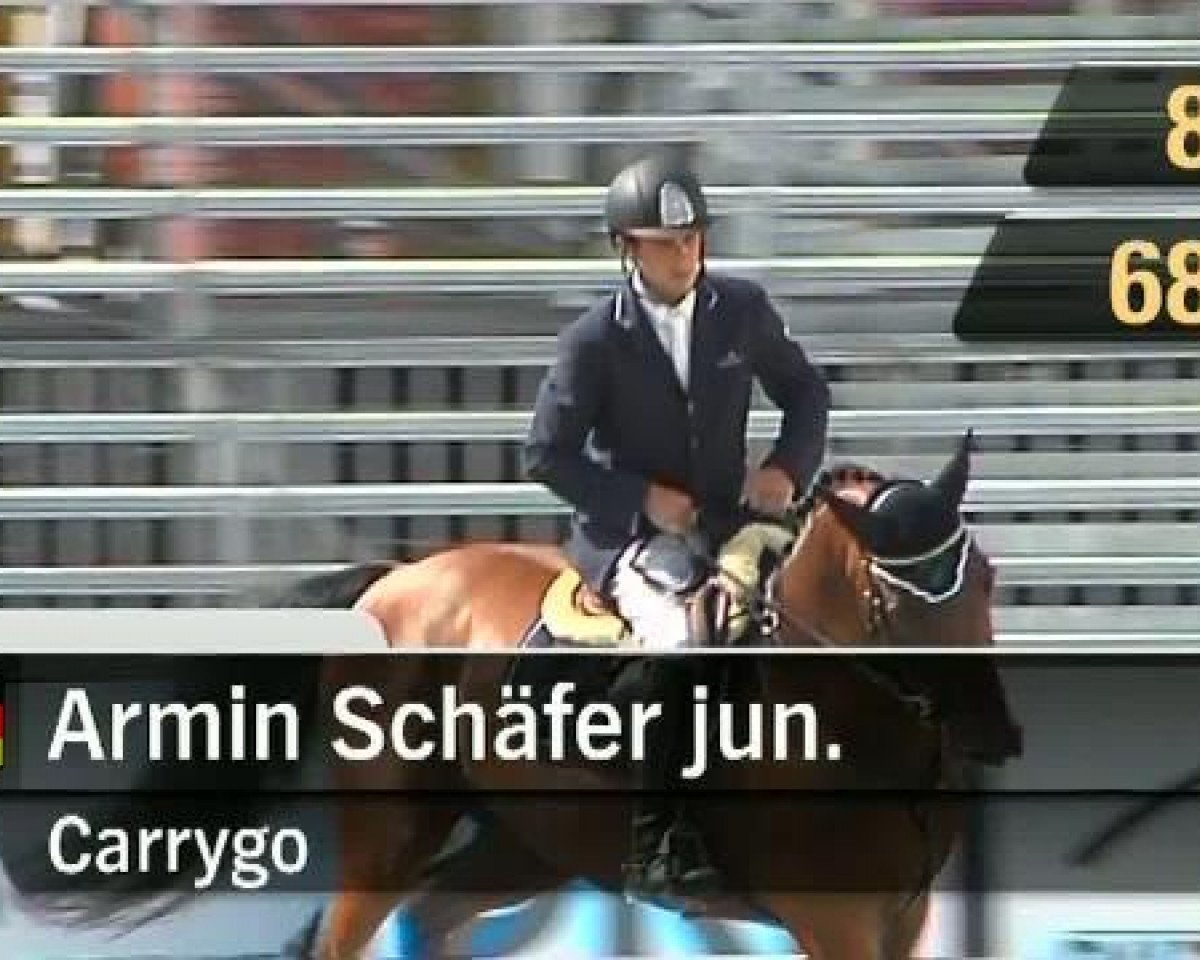 jumper Carrygo (Holsteiner, 2001, from Carry)