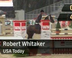 Deckhengst Usa Today (KWPN (Niederländisches Warmblut), 2001, von Heartbreaker)