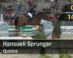 Springpferd Quivive 5 (Holsteiner, 2003, von Quantum)