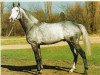 stallion Neshad xx (Thoroughbred, 1985, from Sharpen Up xx)