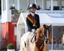 Springpferd Kastanienhof Moonwalker WE (Deutsches Reitpony, 2018, von Kastanienhof Manhattan)