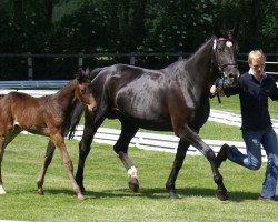 broodmare Lorya (Hanoverian, 1992, from Lanthan)