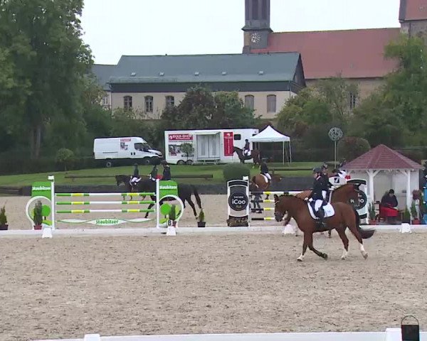 Reitturnier Frankenhof-Sonnefeld/Ofr. 2022