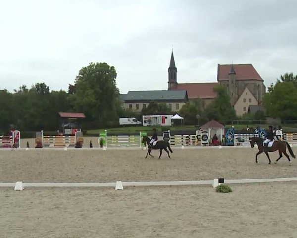 Reitturnier Frankenhof-Sonnefeld/Ofr. 2022