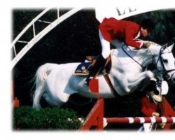 broodmare Ma Belle (Hanoverian, 1988, from Maat I)