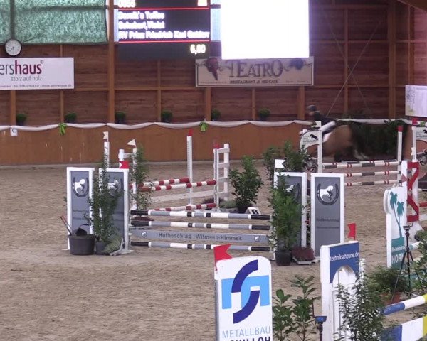 4. Ponyspringturnier Xanten - Reitanlage Miß 2022