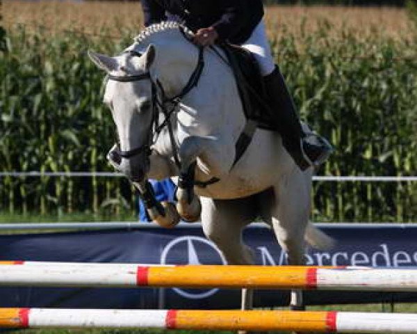 Pferd Magic Pia (Deutsches Reitpony, 2003)