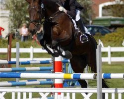 dressage horse Rosebud (Rhinelander, 1996, from Rachmaninoff)