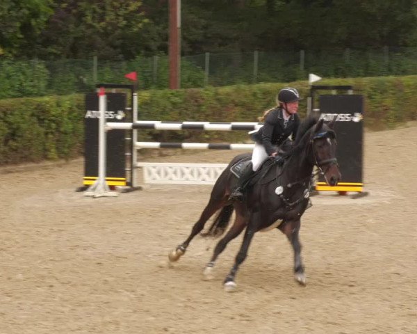 Reitturnier Böblingen 2022