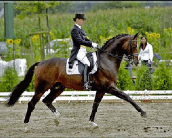 dressage horse Harmony's Baroncelli (Hanoverian, 1998, from Bergamon)