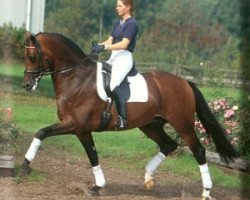 stallion Rousseau (KWPN (Royal Dutch Sporthorse), 1998, from Ferro)