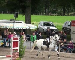 dressage horse Nils (German Riding Pony, 2005, from Nevado)