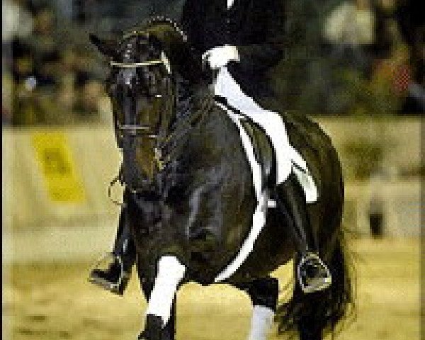 stallion Davignon I (Hanoverian, 1988, from Donnerhall)
