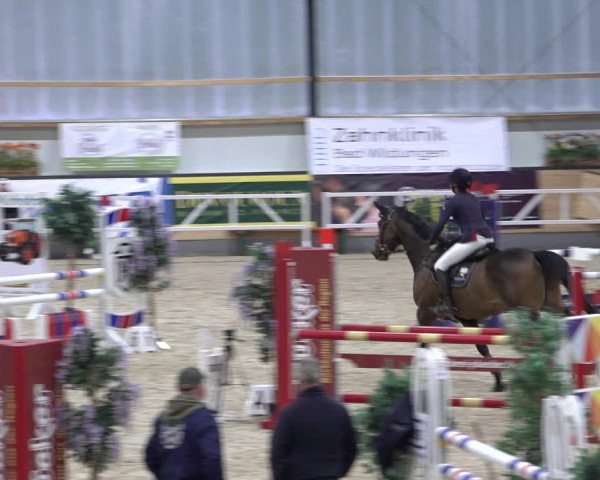 Reitturnier Borken 2022
