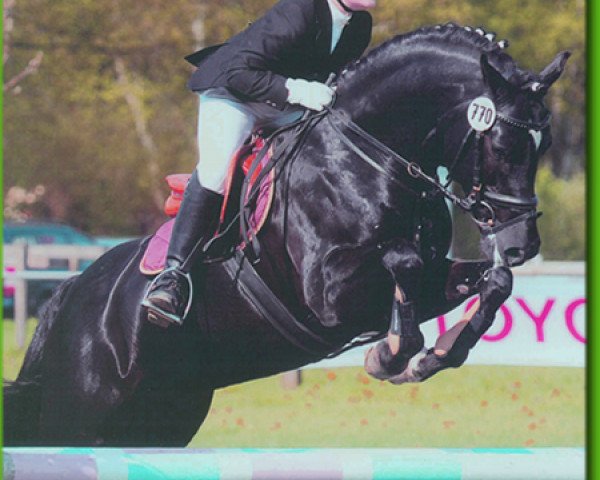 jumper Veivel R (German Riding Pony, 1999, from Van Gogh R)