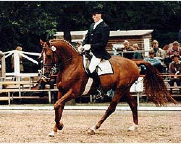 dressage horse Philipo (Westphalian, 1990, from Pandur)