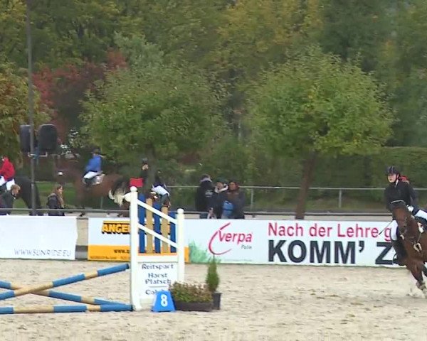 Reitturnier Frankenhof-Sonnefeld/Ofr. 2022