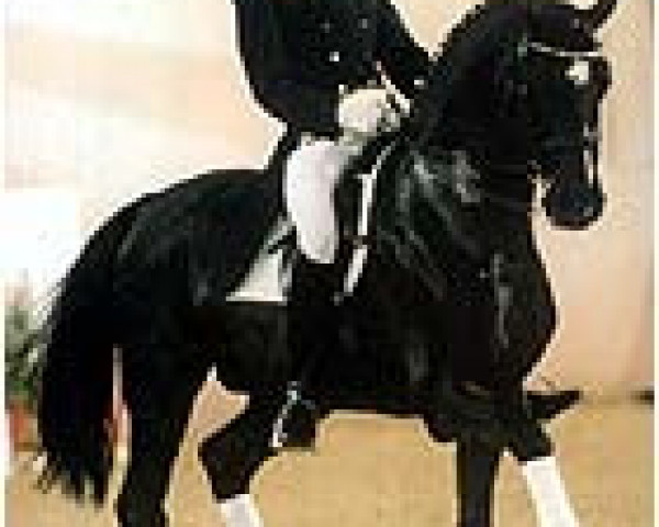 stallion Pik Labionics (Hanoverian, 1989, from Pik Bube I)