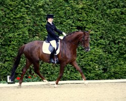 broodmare Florestina (Westphalian, 2002, from Fürst Piccolo)