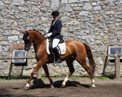 broodmare Florenza HL (Rhinelander, 2004, from Fürst Heinrich)