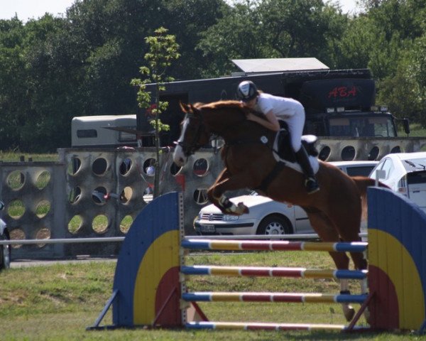 jumper Gaspirant (Hanoverian, 2005, from Canandos)