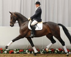 dressage horse Rockylane (Westphalian, 2007, from Rock Forever NRW)