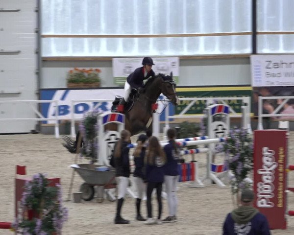 Reitturnier Borken 2022
