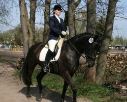 dressage horse Sulaika (Hannoveraner, 1998, from Santorini)