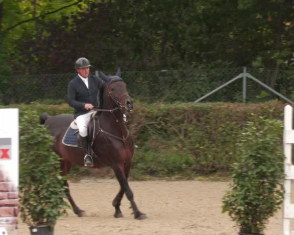 Reitturnier Böblingen 2022