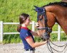 dressage horse Grey's Gentle Giant (Oldenburg, 2014, from Grey Flanell)