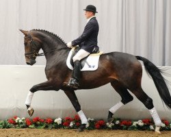 dressage horse La Fleur (Westphalian, 2008, from Ehrentanz I)