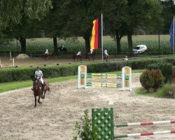 Springpferd Lou Lordana (Oldenburger, 2006, von Lordanos)