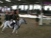 Springpferd Coulthard R (Deutsches Reitpony, 1997, von Constantin)