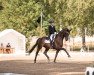 dressage horse Happy Harley (Hanoverian, 2008, from Hochadel)