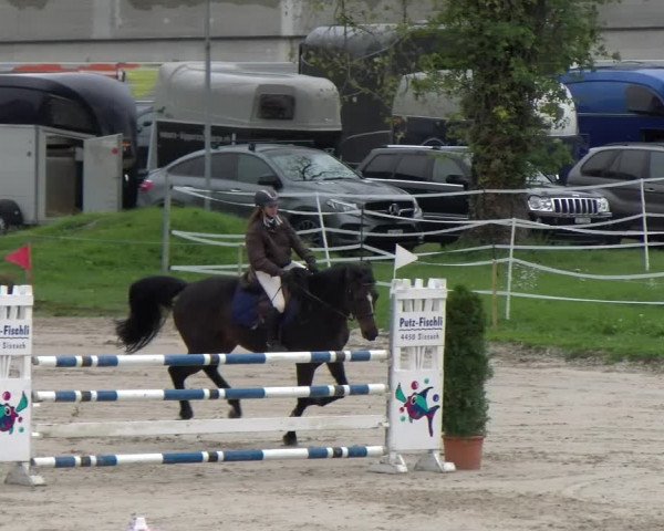 Reitturnier Basel Schänzli 2022