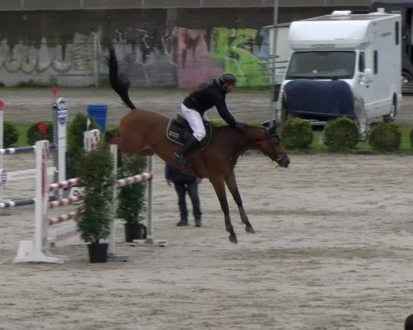 Reitturnier Basel Schänzli 2022