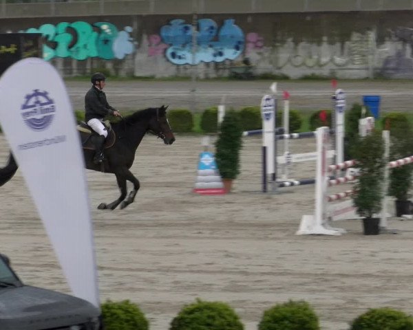 Reitturnier Basel Schänzli 2022